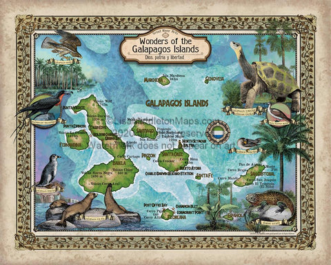 209 Custom map of the Galapagos Islands