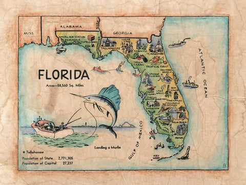 204 Illustrated map of Florida, c. 1950's